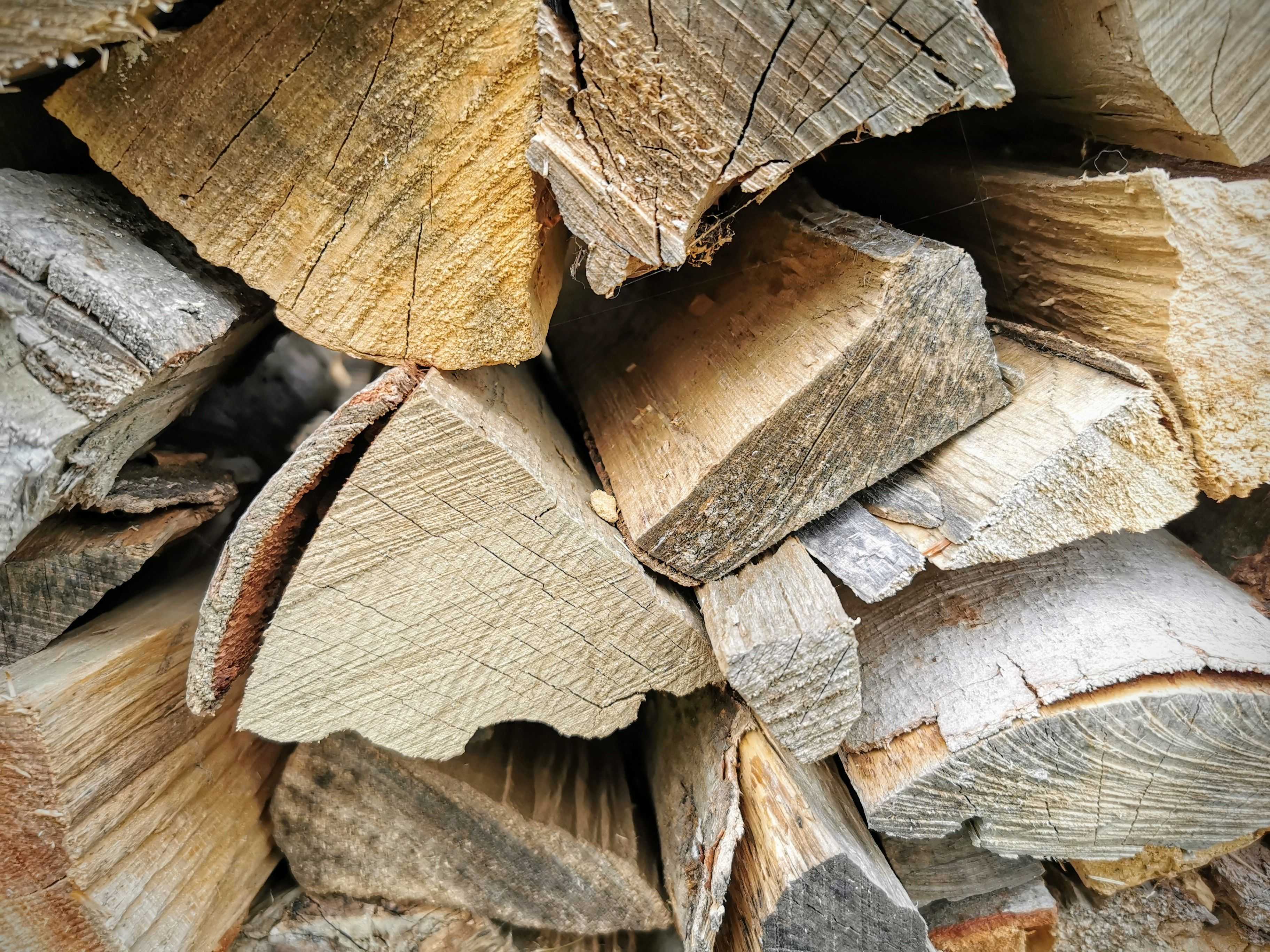 Perfektes Räuchern: Das richtige Holz für steirische Ripperl