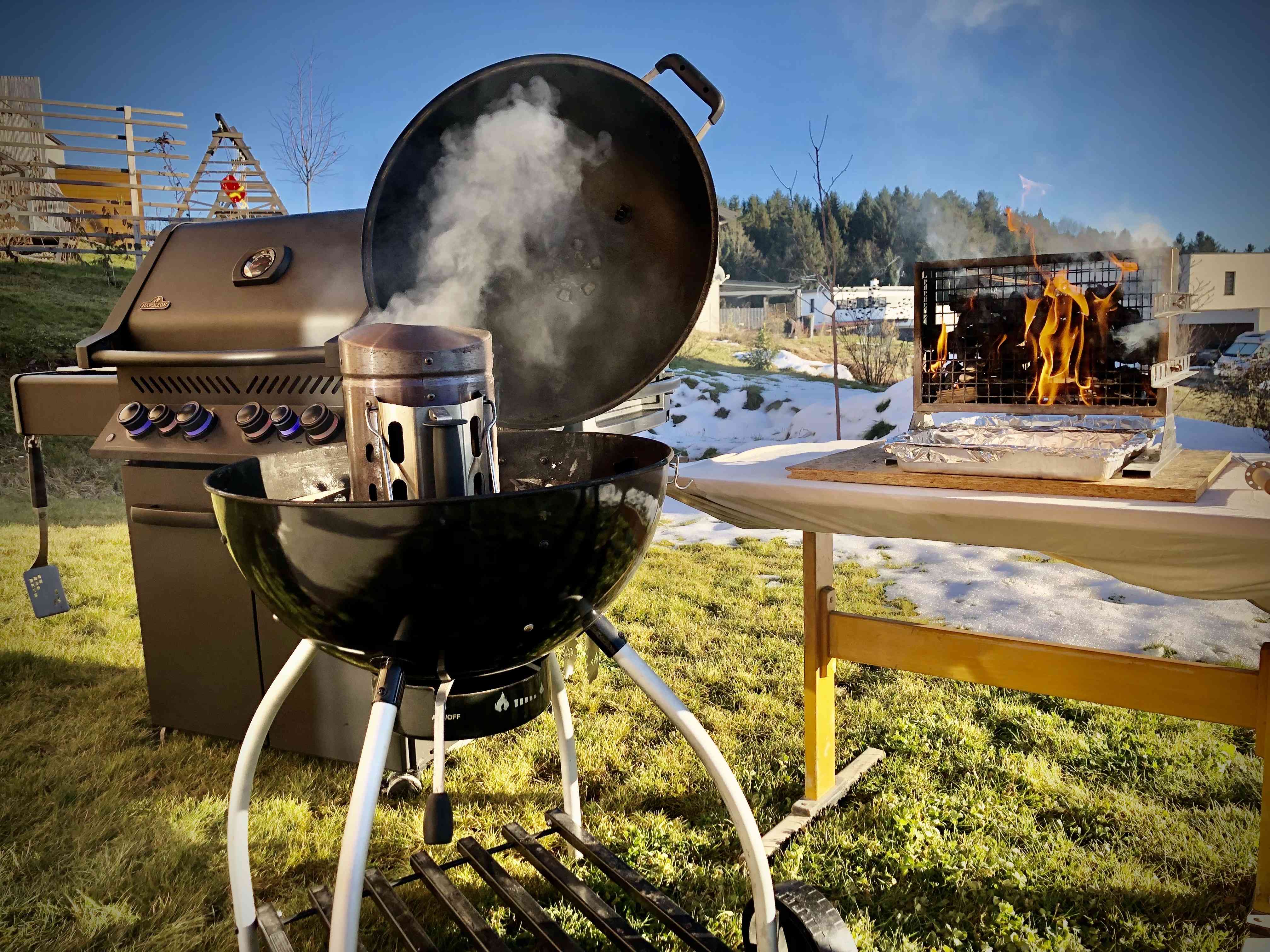 Der ultimative Grillervergleich: Welcher Grill macht das perfekte Ribeye Steak?