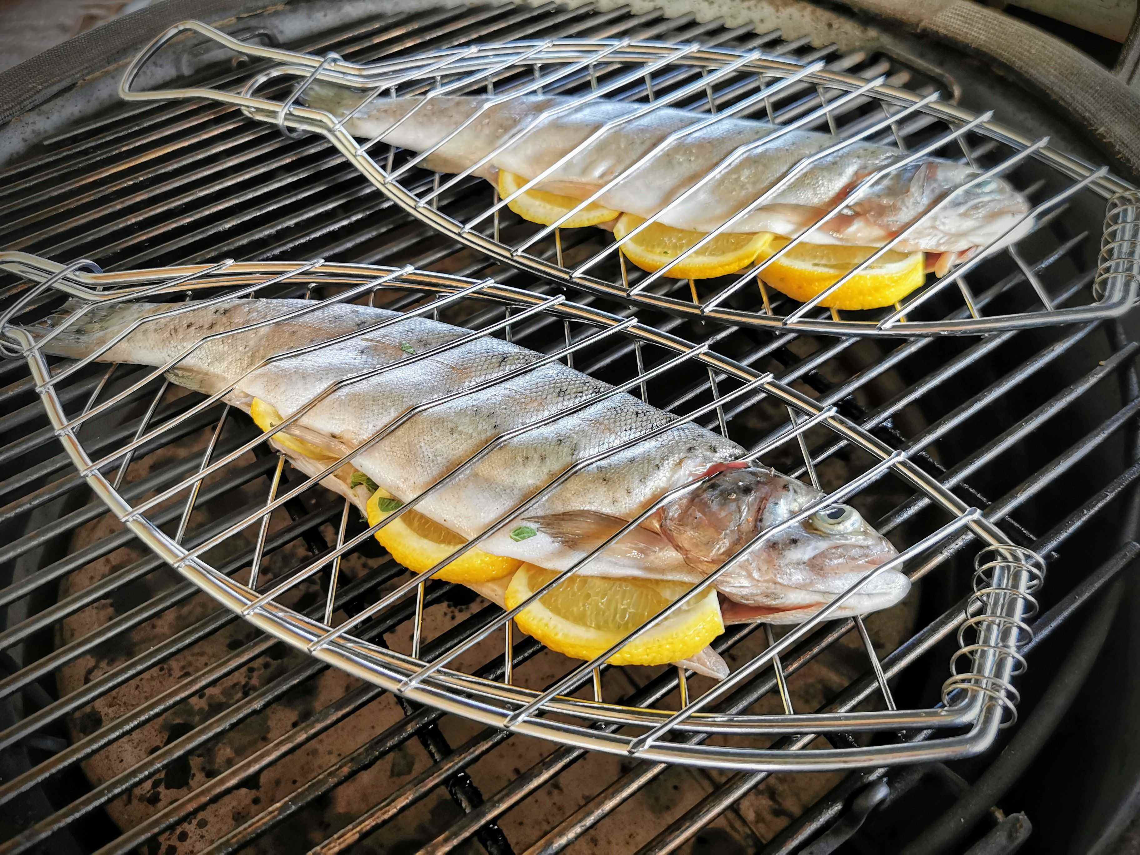Forelle aus der Fischzange: Einfach und Perfekt vom Grill