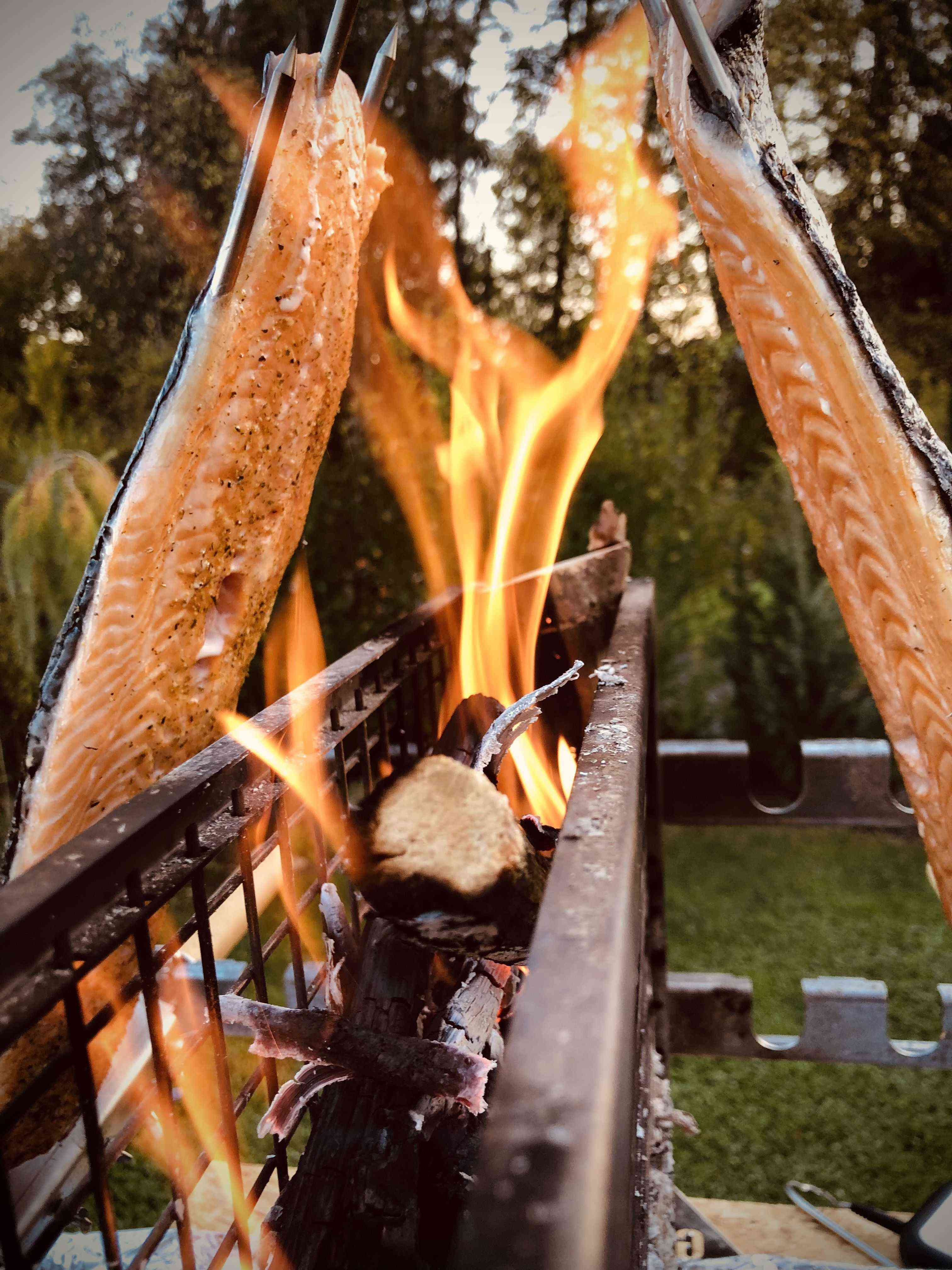 Flammlachs vom Vertikalgrill: Ein skandinavisches Grillvergnügen für deinen Garten